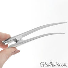 Load image into Gallery viewer, Silver Flamingo Beak Clip with Two Lines of Decoration - Pair