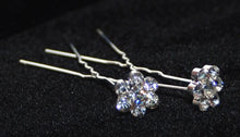Load image into Gallery viewer, Daisy Crystal Hair Pins - Pair