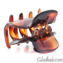 Load image into Gallery viewer, French Small Hair Claw Tortoise 