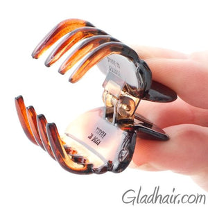French Small Hair Claw Tortoise 