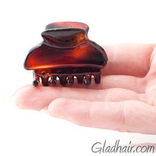 Load image into Gallery viewer, French Small Hair Claw Tortoise 