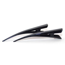 Load image into Gallery viewer, Large Metal Colored Enamel Beak Clips - Pair
