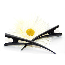 Load image into Gallery viewer, Large Metal Colored Enamel Beak Clips - Pair