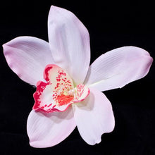 Load image into Gallery viewer, Large Colored Orchid Flower on Forked Metal Clip 