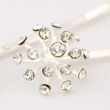 Load image into Gallery viewer, Silver Grips with Starburst Top - Pair